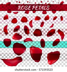 Rose Petals. Vector Illustration. Red.