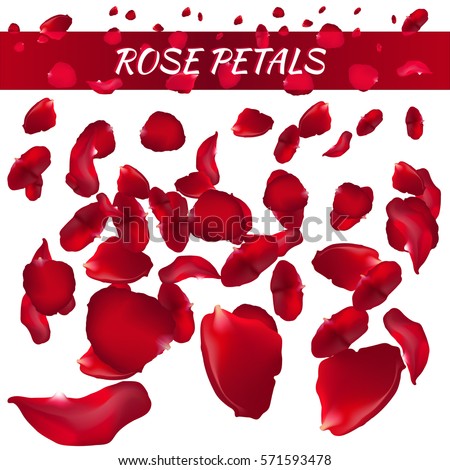 Rose Petals. Vector Illustration. Red.