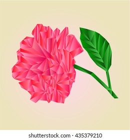 Rose pink blossoms stem with leaves polygons vector illustration
