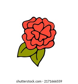 La Rosa. Planta. Flor roja. Ilustración del doodle dibujada a mano por vectores. Flor.
