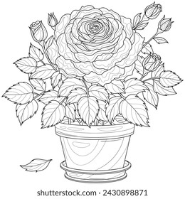 A rose in a pot.Coloring book antistress for children and adults.	
Illustration isolated on white background.Zen-tangle style. Hand draw