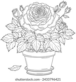 A rose in a pot.Coloring book antistress for children and adults.	
Illustration isolated on white background.Hand draw.Outline drawing