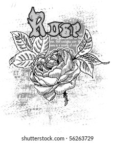 rose print and application letters