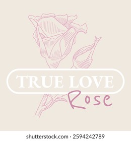 Rose. Print for t shirt design. True love rose. Floral illustration with text. Flower slogan about love. Vector illustration