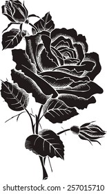 Rose Real Black & White Inversion
