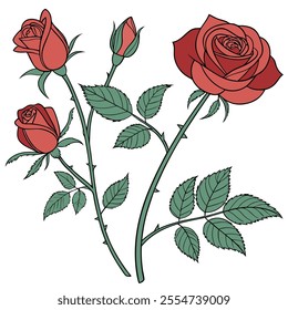 Rose realistic set with red flowers