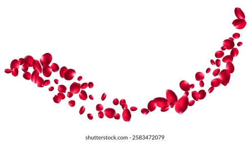 rose red falling petals. Realistic flying petal  or rose flowers, panoramic wedding wallpaper or cosmetic ad spring background vector illustration 