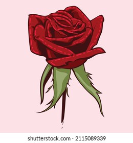 Rose are red and flower is pretty