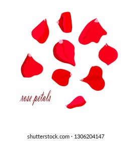 Rose red petal set. Design element object isolated stock vector illustration for web, for print, for wedding design