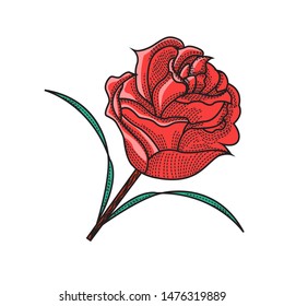 rose red vector image, isolated flower element, realistic rose vector element, cartoon style red rose on white background. Doodle vector illustration. Retro red rose, vintage line art.- vector