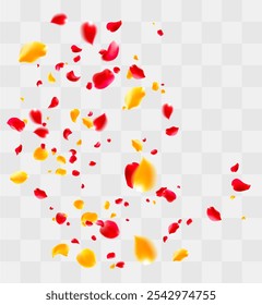Rose Red and yellow petals or sakura flying petals, romantic background with realistic cherry flower petals flow or falling motion. Love, romance, floral spring season

