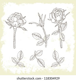 rose retro set