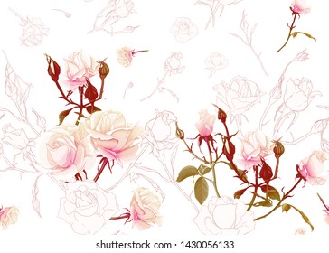 Rose roses seamless pattern. Isolated on white background. Colored and outline design. Vector illustration.
