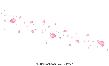 rose and sakura flying petal romantic background vector