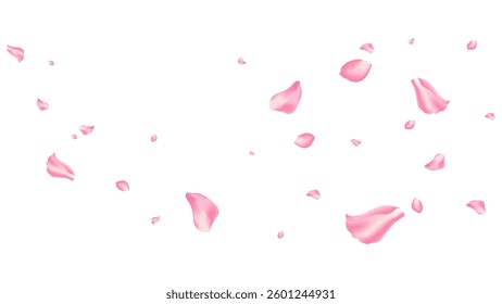 rose and sakura flying petal romantic background vector