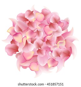 rose, sakura and lotus petals on white background. vector pattern, eps10 floral template