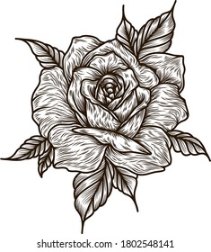 The Rose Scratchboard Drawing Vintage