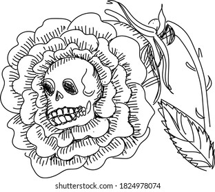 Rose and scull line art. Creepy halloween vector illustration.