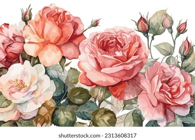 Rose Seamless vertical border floral illustration watercolor painting Abstract white background.