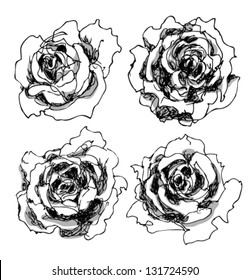 Rose set, hand drawn ink illustration of four roses, black and white, floral elements for your design