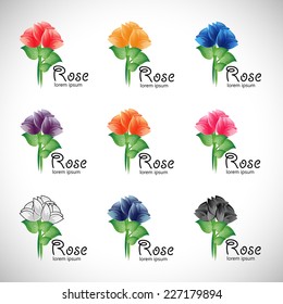 Rose Set - Isolated On Gray Background - Vector illustration, Graphic Design Editable For Your Design   