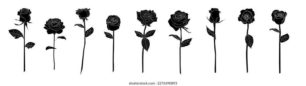 Rose set. Rose Silhouette .Vector  flowers set.