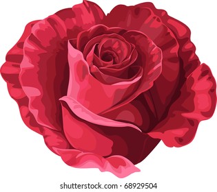 Rose in the shape of heart on Valentine`s day