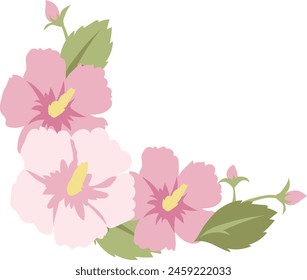 Ilustración de Rose of Sharon.
Rosa y blanco Rosa de Sharon