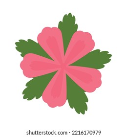 scharfe Rose auf weißem Hintergrund