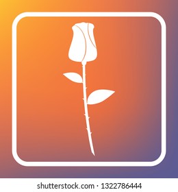 Rose sign illustration. Vector. White icon on transparent button at orange-violet gradient background.