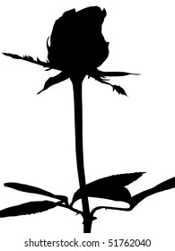 rose silhouette