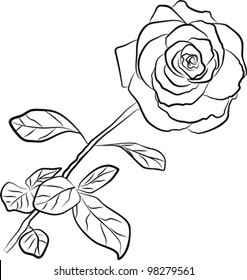 rose silhouette - freehand on a white background, vector illustration