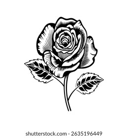Ilustraciones de Arte vectorial de silueta de rosa