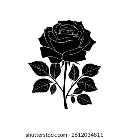 Rose Silhouette With A White Background.