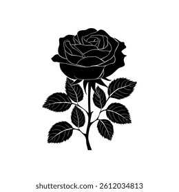 Rose Silhouette With A White Background.