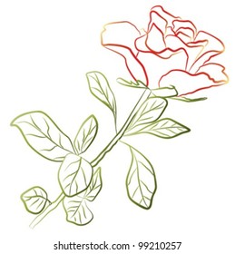 rose silhouette - white background, vector illustration