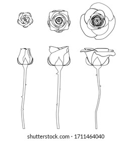 Ilustración vectorial de las siluetas rosas. Esténciles de rosas aisladas sobre fondo blanco