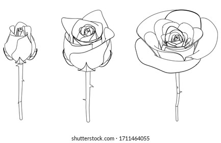 Rose silhouettes vector illustration. Roses stencils isolated on white background