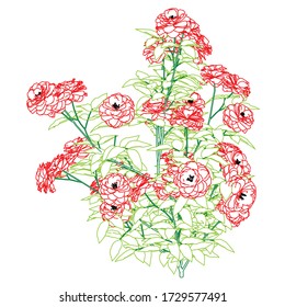 Rose silhouettes Vektorgrafik. Rosenschablonen auf weißem Hintergrund isoliert
