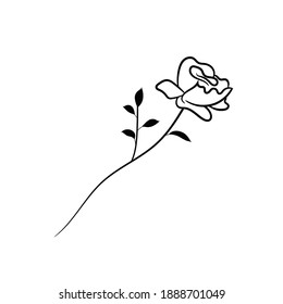 Rose. A simple botanical sketch. Hand drawn vector illustration in Doodle style. Isolated object on a white background. Design for wedding decor, Valentines day.