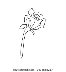 Rose single continuous one line out line vector art  drawing  and tattoo design
