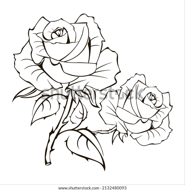 Rose sketch black\
outline isolated, illustration floral ornament graffiti tattoo on\
white background