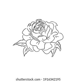 Rose Sketch. Black Outline On White Background. Vector Illustration.