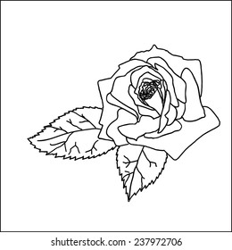 Rose sketch. Black outline on white background. Vector illustration.