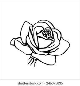 Rose Silhouette Freehand On White Background Stock Vector (Royalty Free ...