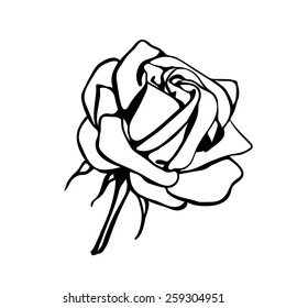 Rose sketch. Black outline on white background. Vector illustration.