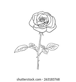 Rose Flower Icon One Line Drawing Stock Vector (Royalty Free ...