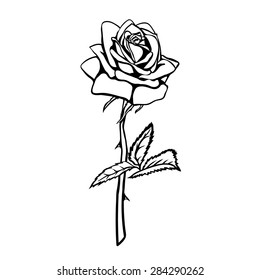 Rose sketch. Black outline on white background. Vector illustration.
