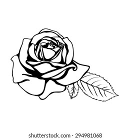 Rose sketch. Black outline on white background. Vector illustration.