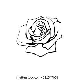 Rose Sketch. Black Outline On White Background. Vector Illustration.